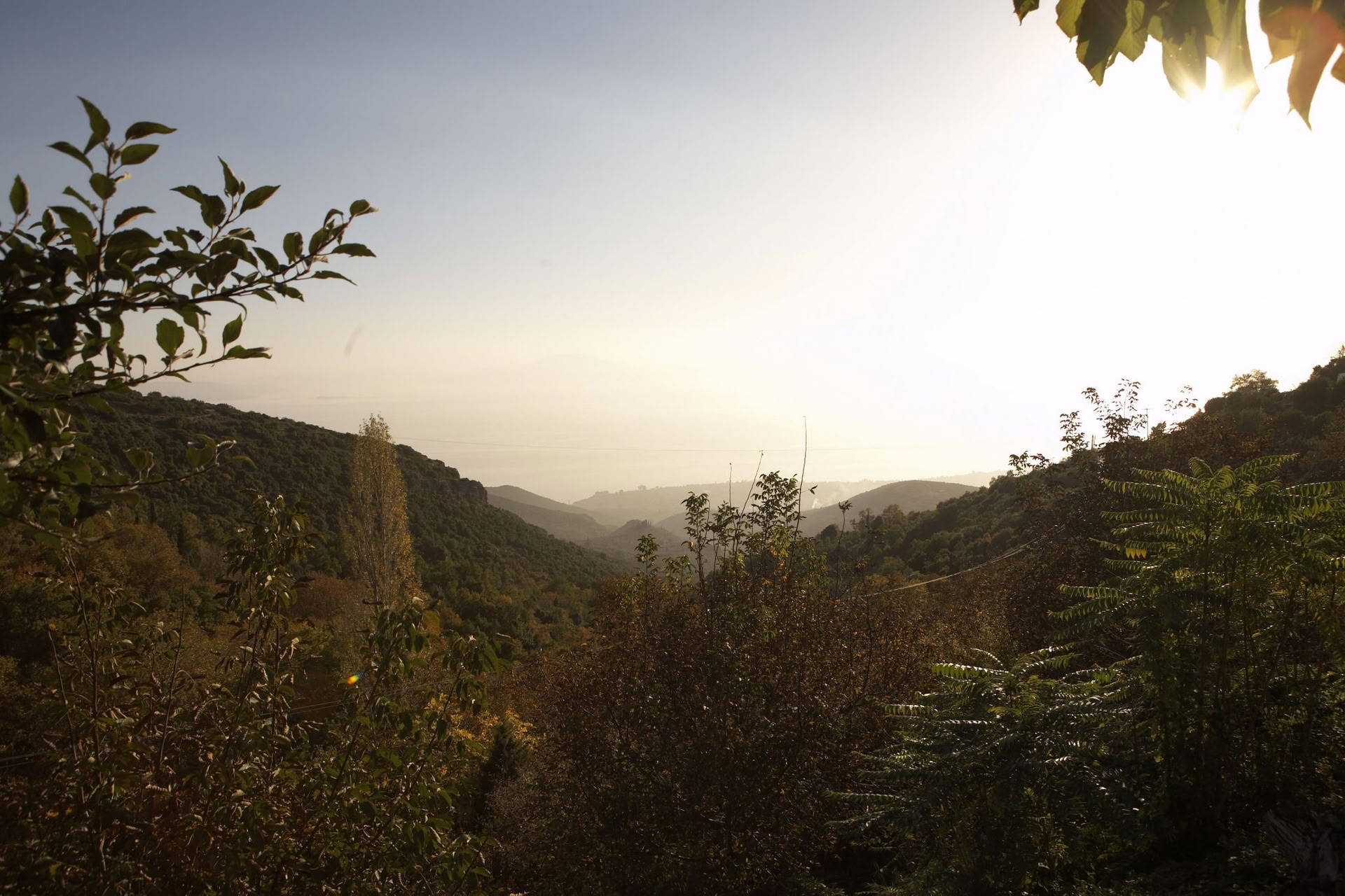 Sunshine For Joy & Wellbeing retiro in Pelion