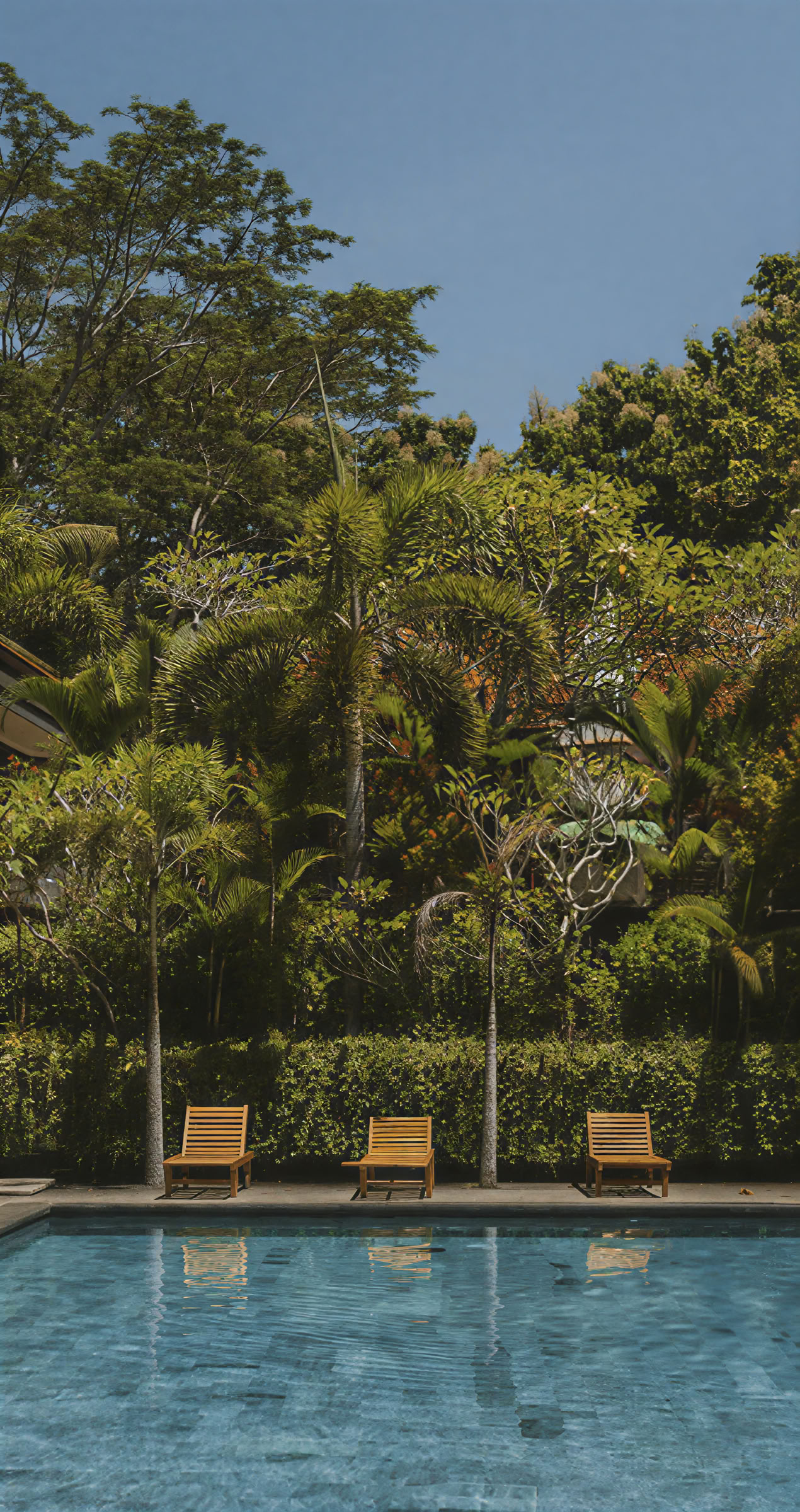 200hrs Formación de Profesores de Yoga en Bali, Amertham