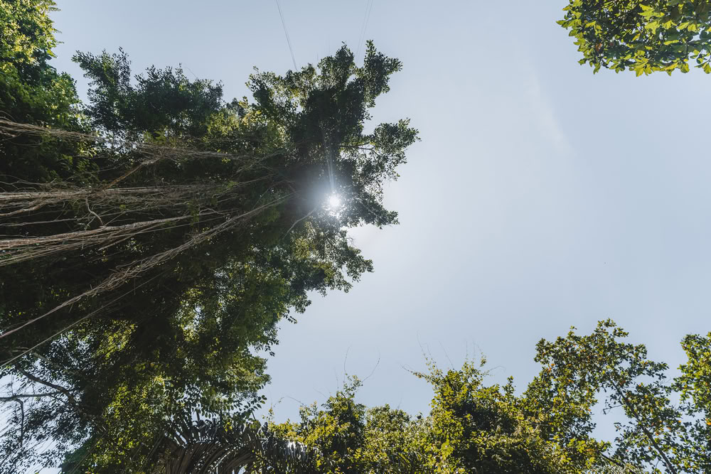 200hrs Formación de Profesores de Yoga en Bali, Amertham