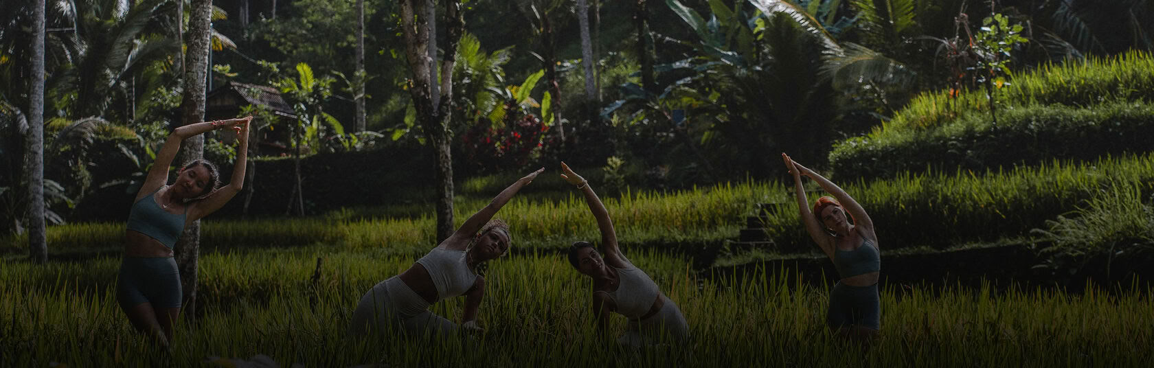 Formación de profesores de yoga híbrida de 200 horas/300 horas – 27 nov - 6 dic
