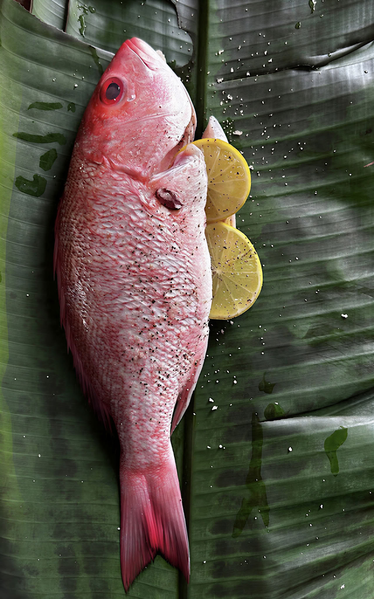 Ceremonia de Ayahuasca Shipibo