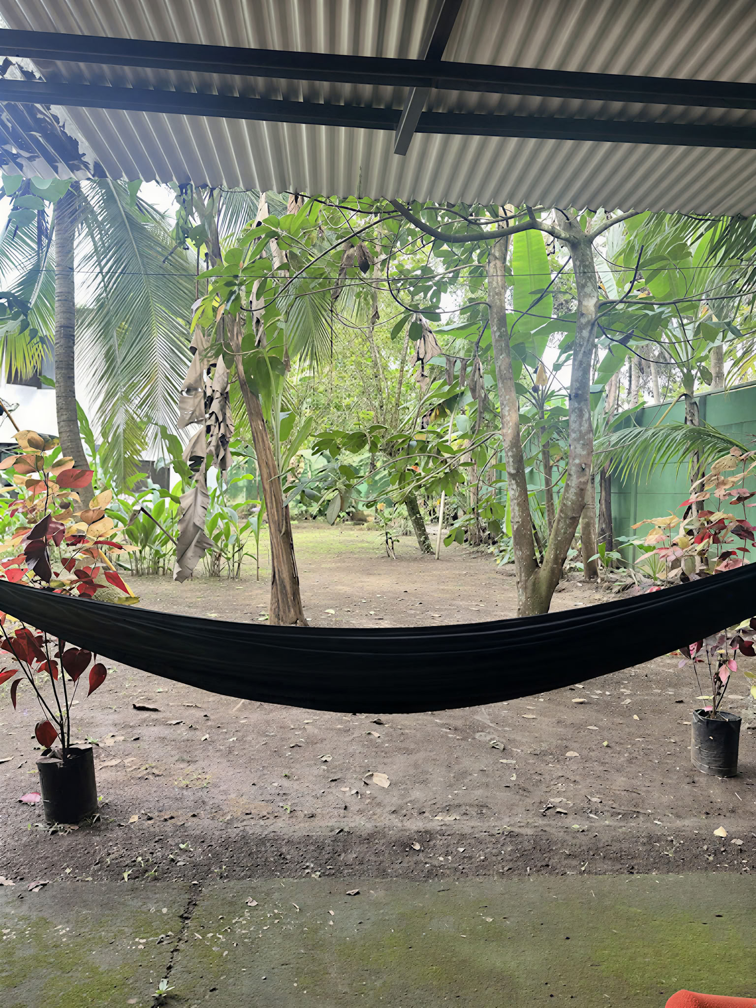 Ceremonia de Ayahuasca Shipibo