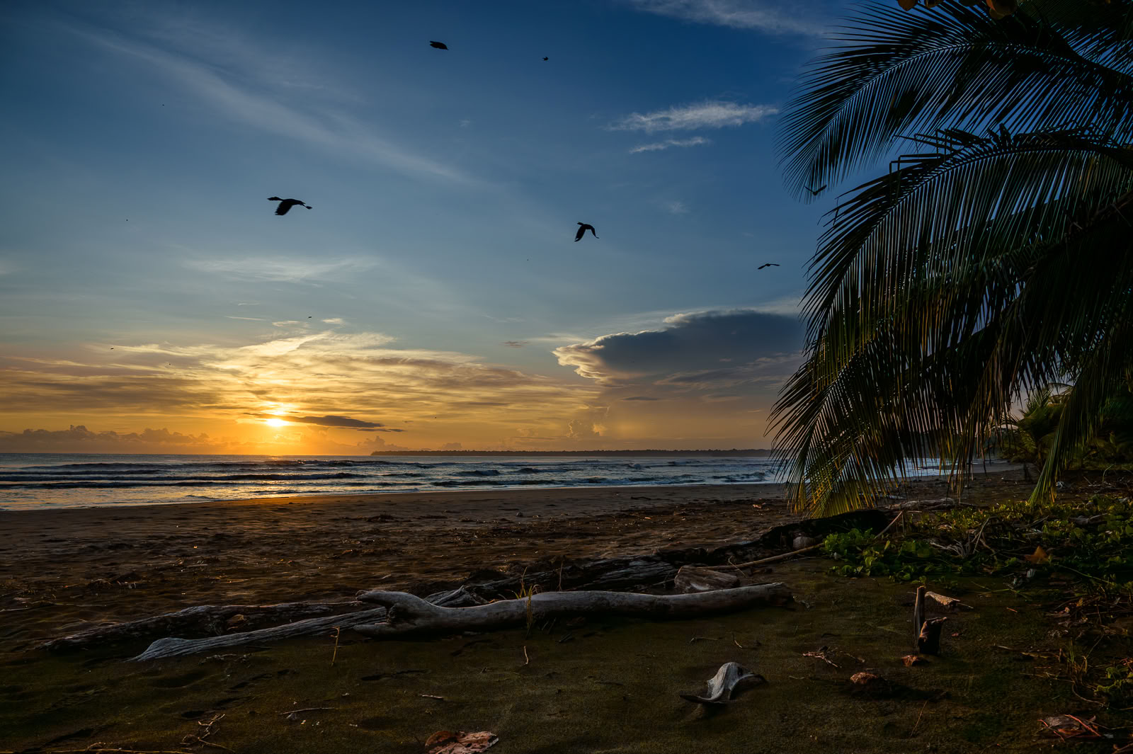 Home Sanctuary Ayahuasca Retiro – 22 - 29 August
