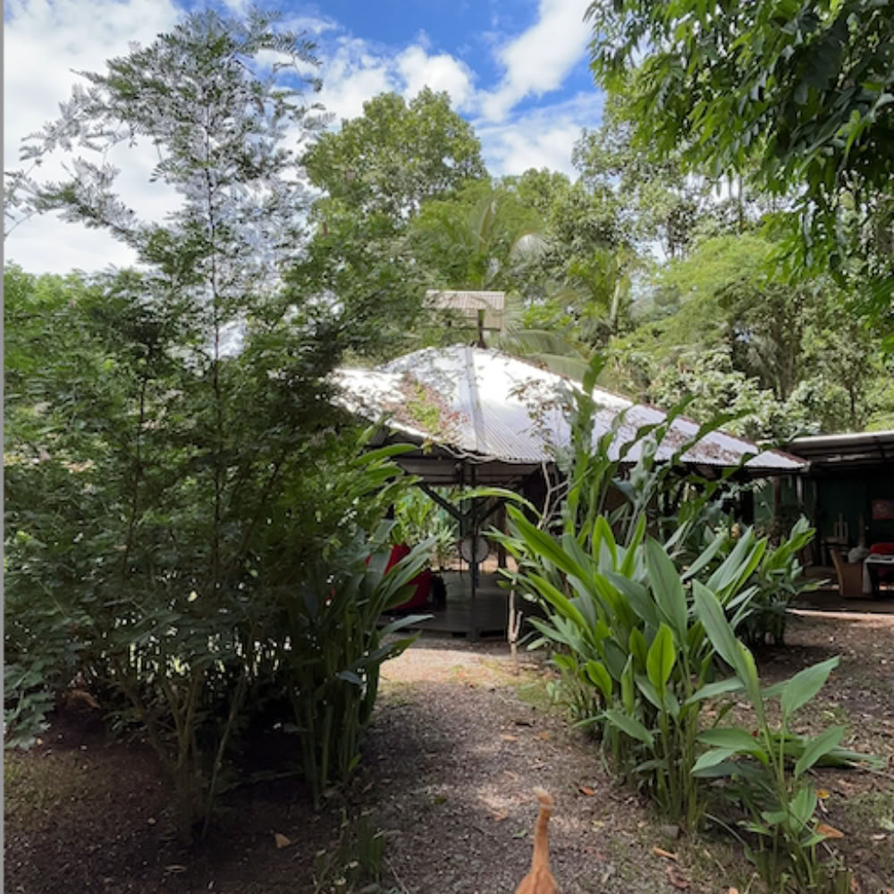 Home Sanctuary Ayahuasca Retiro – 21-28 November