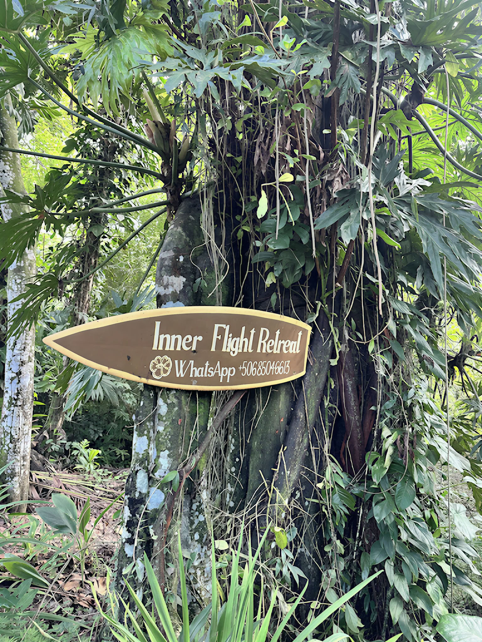 Retiro de Sanación Shipibo