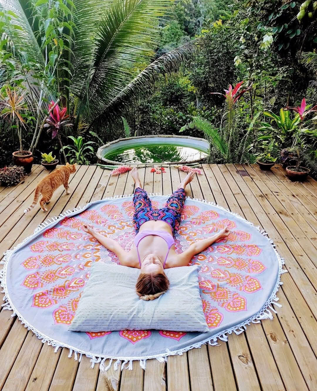Retiro Privado de Ayahuasca de 4 Días