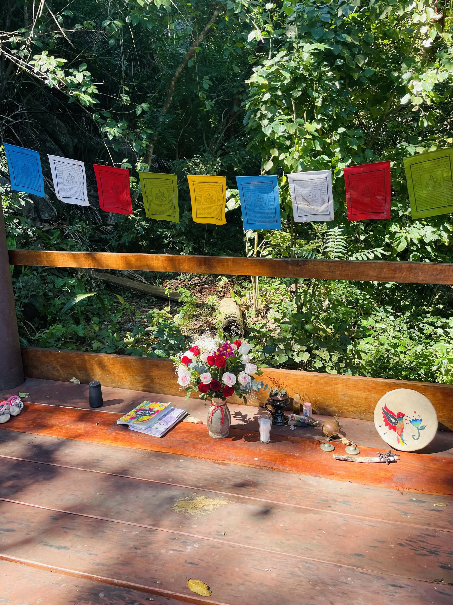 Custom | Yelapa | Retiro privado de reinicio del sistema nervioso México