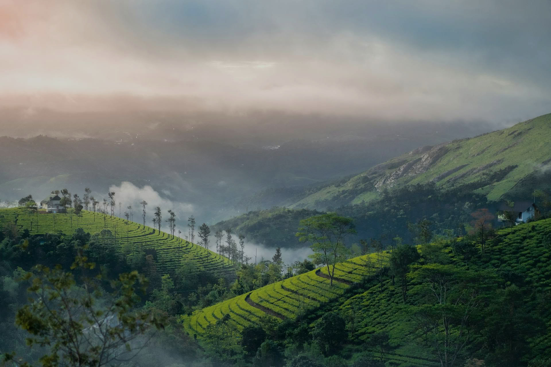 Kerala Yoga Retiros with Ira Trivedi