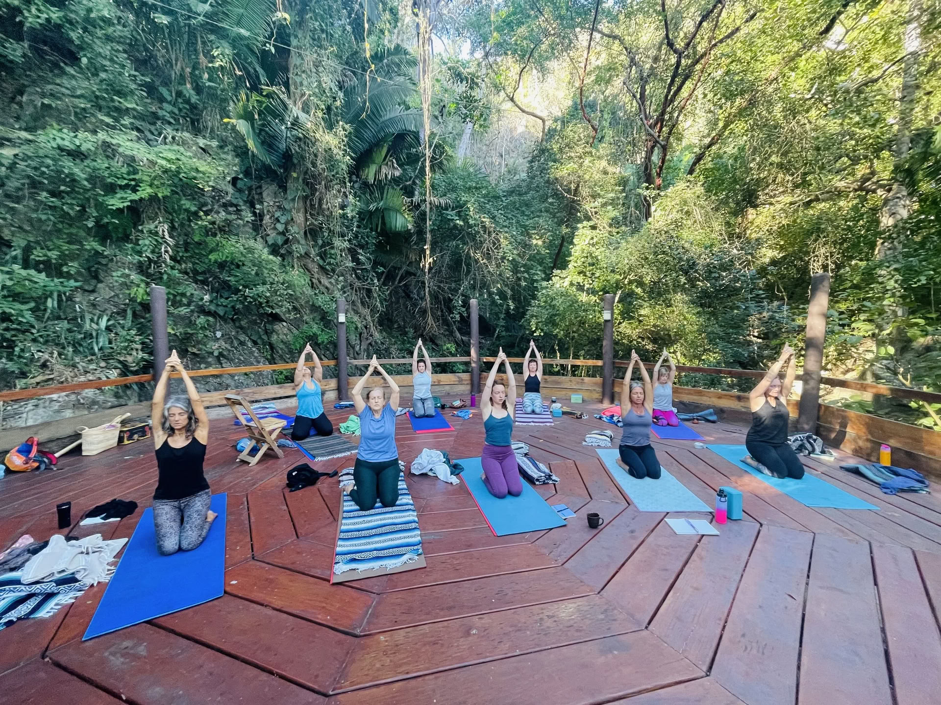 Heal Subtle Forces Within: Reinicio y Recuperación Retiro de Bienestar