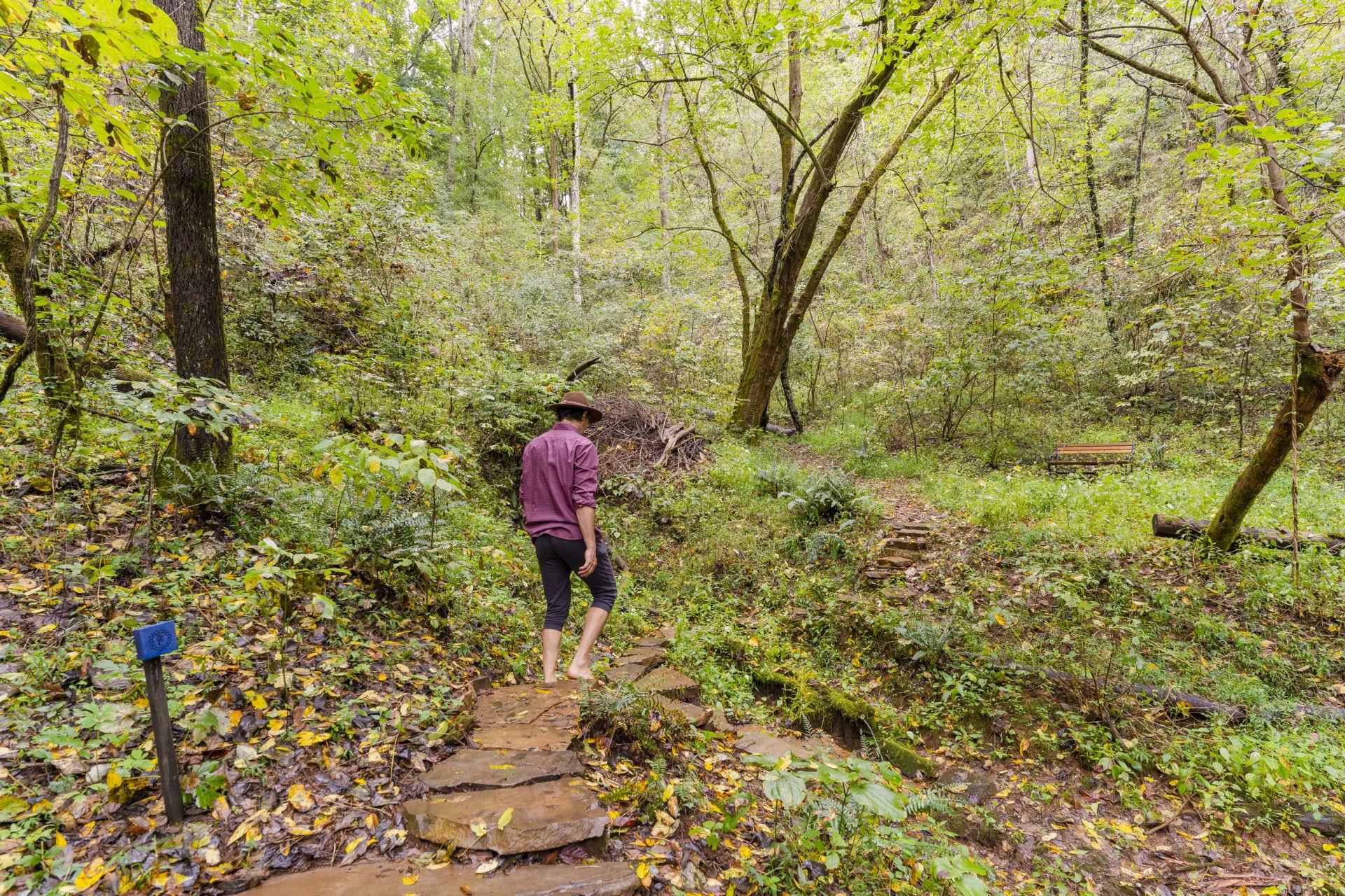 Yoga & Hiking Retiro | Smoky Mountains Yoga Retiro — Seven Springs
