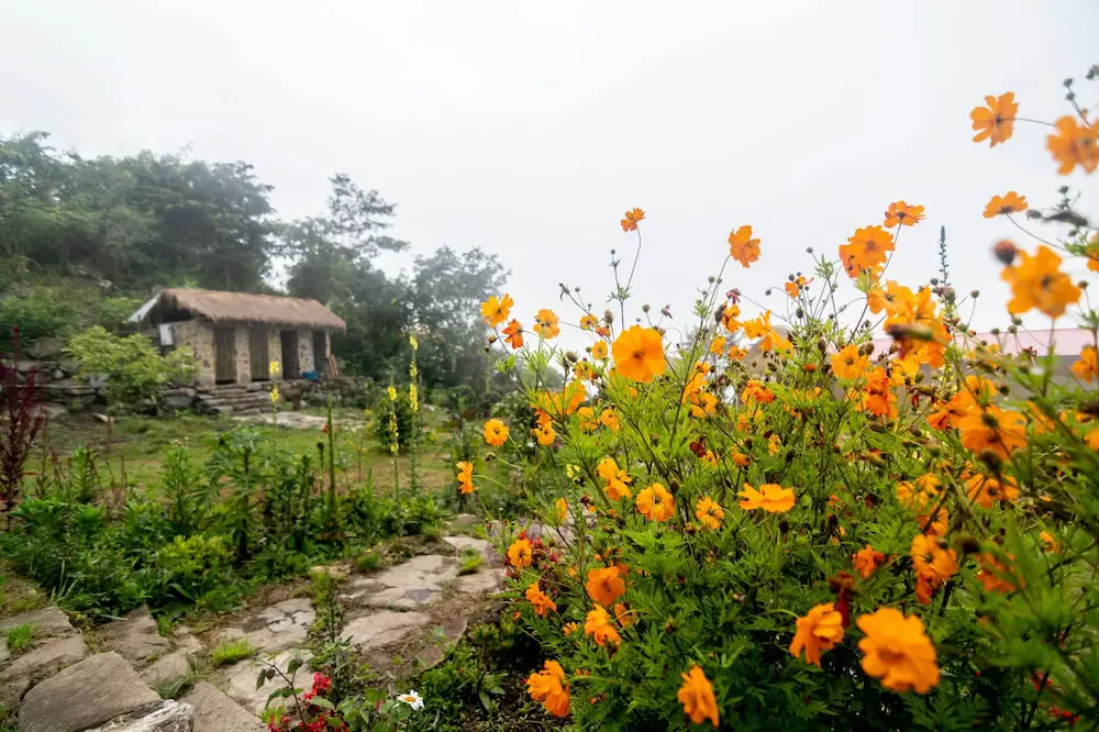 Retiro de sanación con ayahuasca de 5 días en Perú