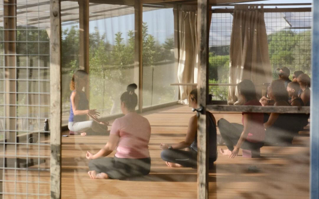 Scent of citrus Retiro - yoga&art jorney