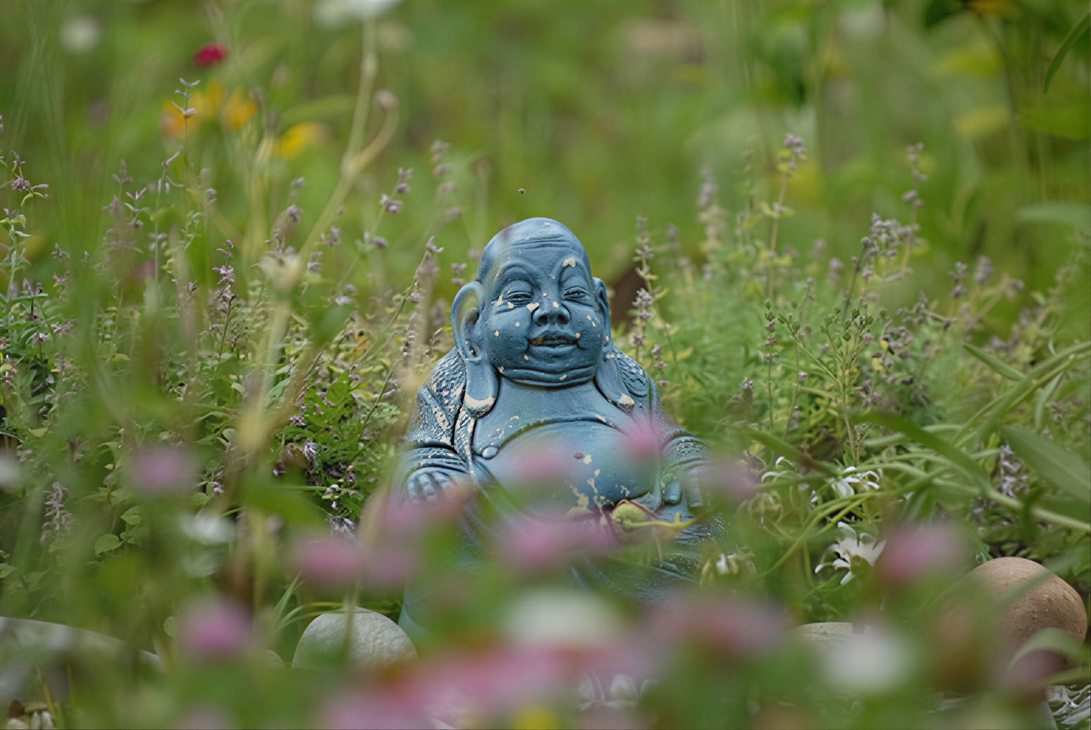 Silent Meditation Retreat con Liz Frost: estancia de 5 noches