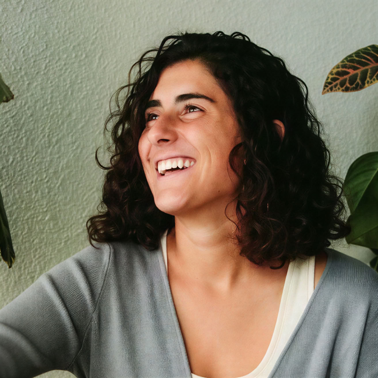 De la Raíz al Cielo