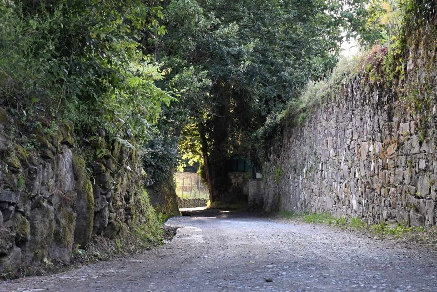 Camino de Santiago Portugués desde Tui en 5 etapas, clase comfort