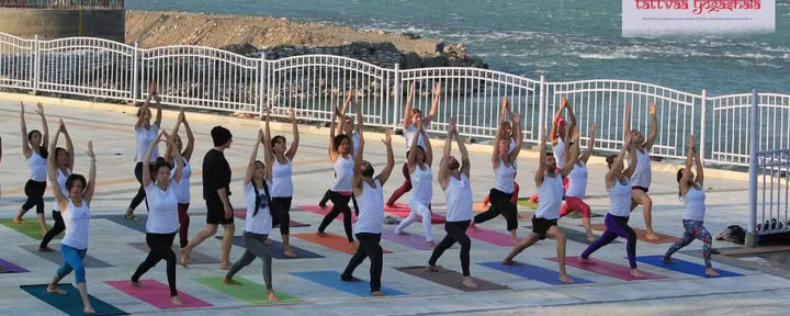 Formación de Profesores de Yoga Multiestilo