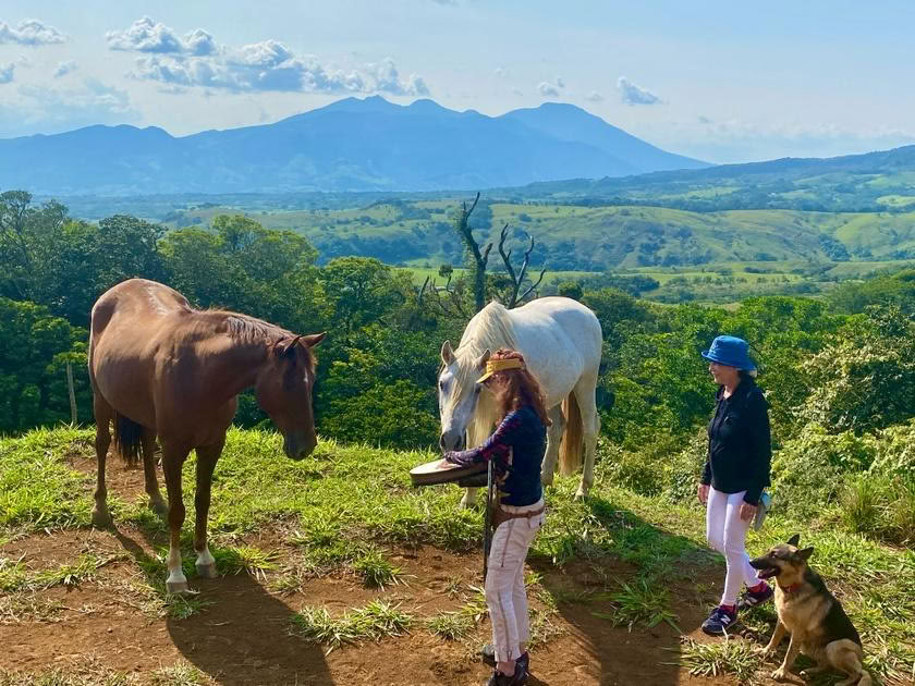 Constelaciones con Caballos en Costa Rica 2026