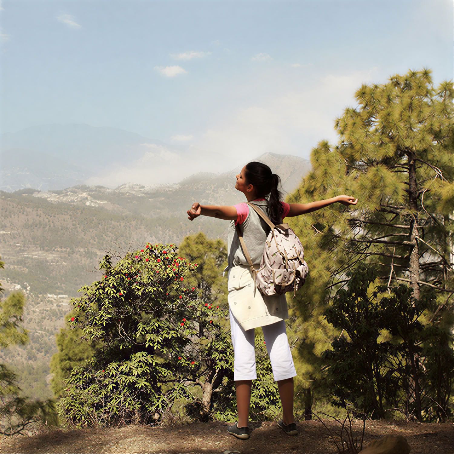 Ananda en el Himalaya