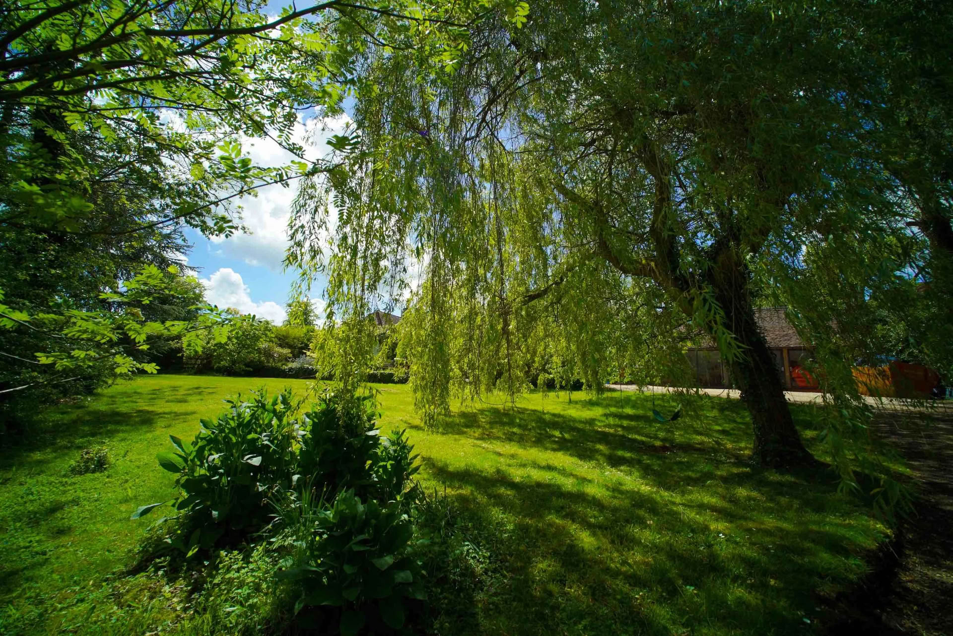 Retiro de Ayuno con Zumos y Yoga, Cotswolds, Oxfordshire