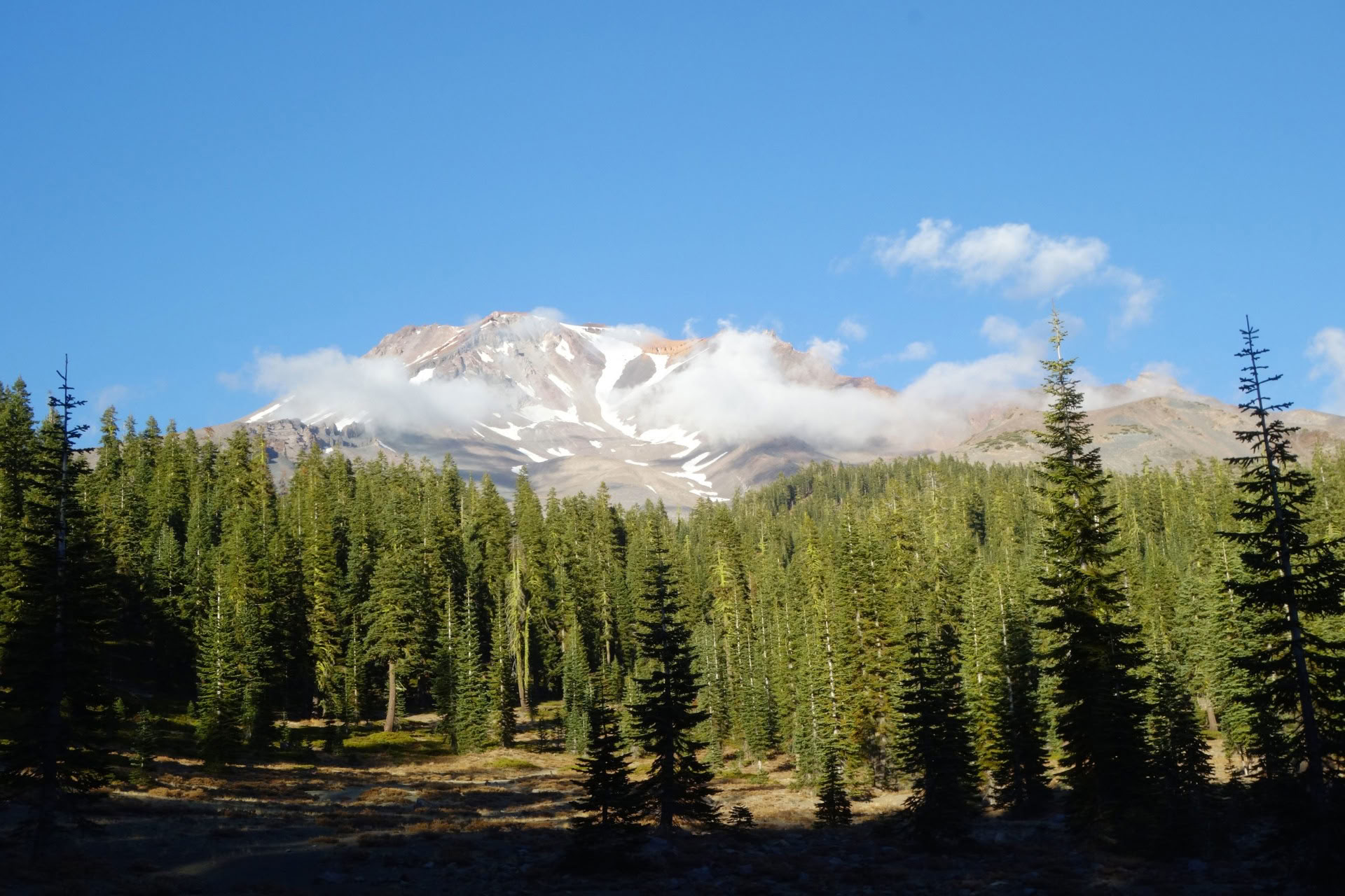 Summer Solstice Tour - Viaje Sagrado en Mount Shasta