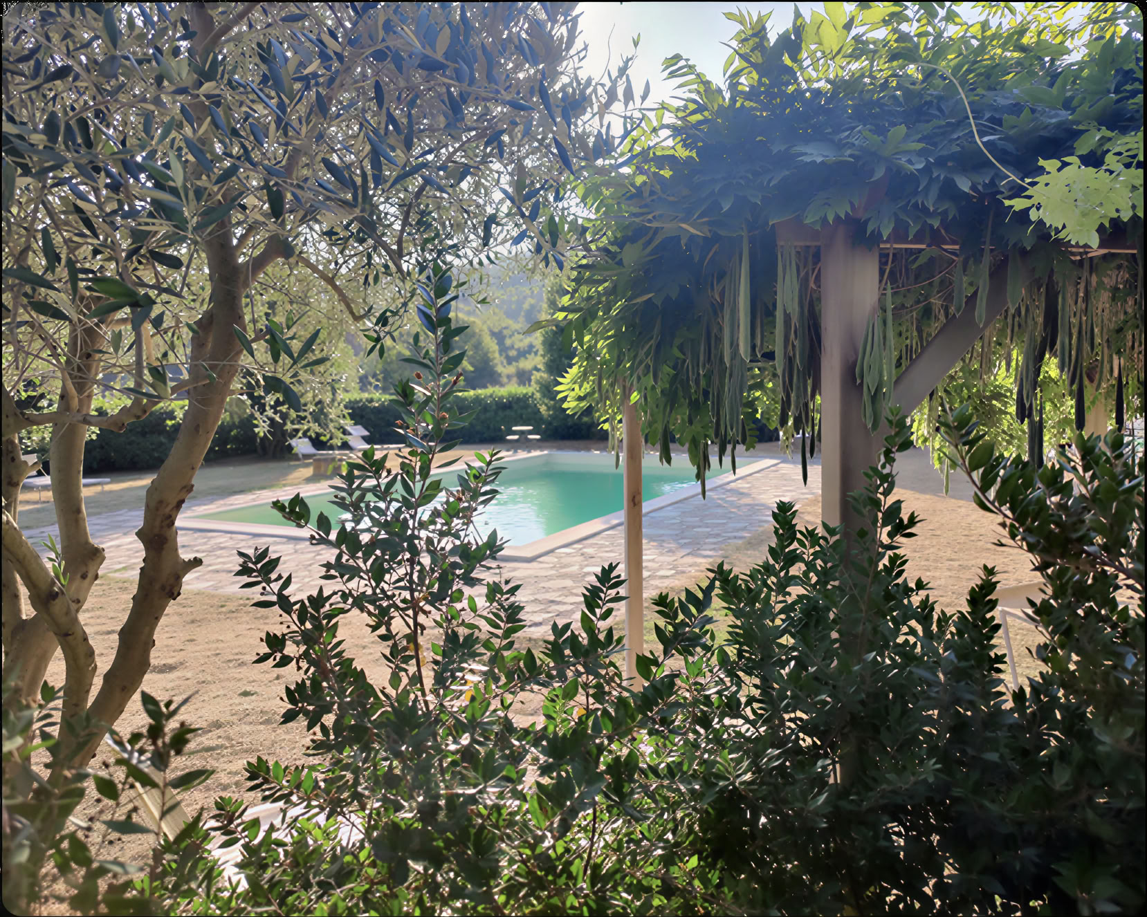 Formación Residencial en Facilitación de Breathwork en Vivo – 27 Sept-17 Oct 2026