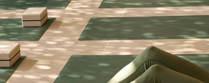 Vinyasa
