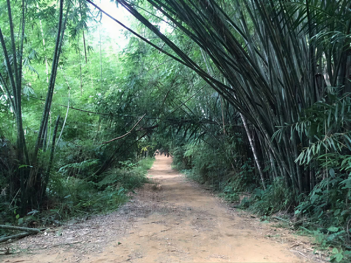 5 Días – 4 Noches – retiro de niebla matutina – 21 - 25 de julio