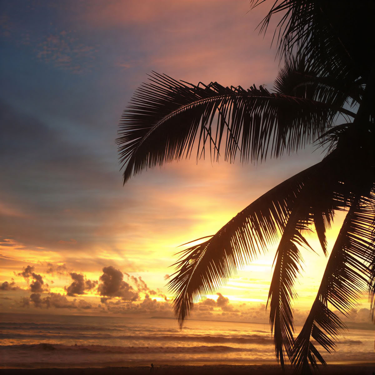 Retiro en Jaco Beach Costa Rica