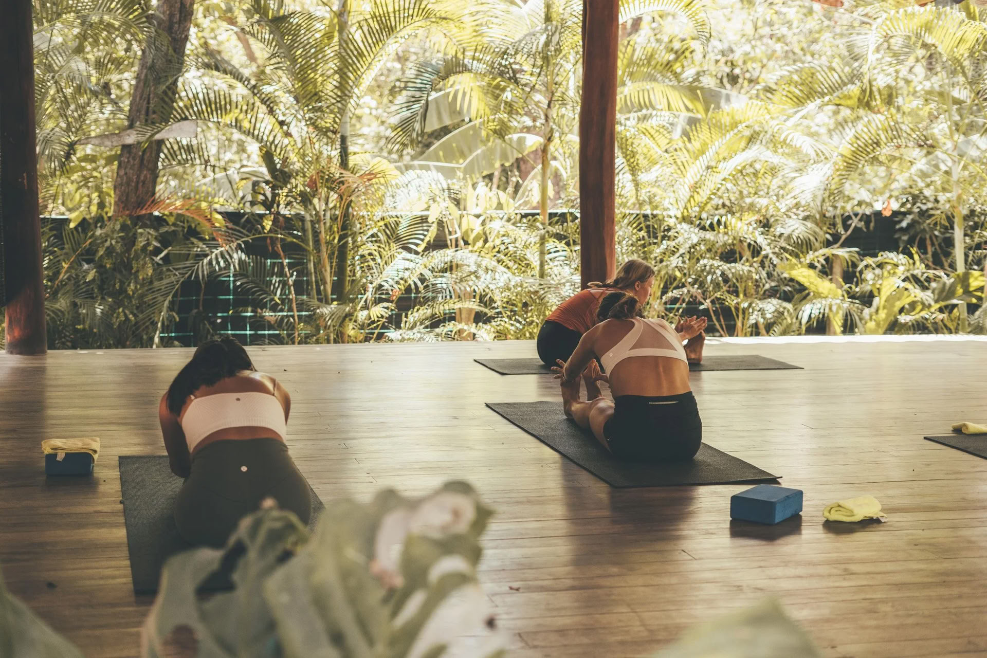 Yoga diario