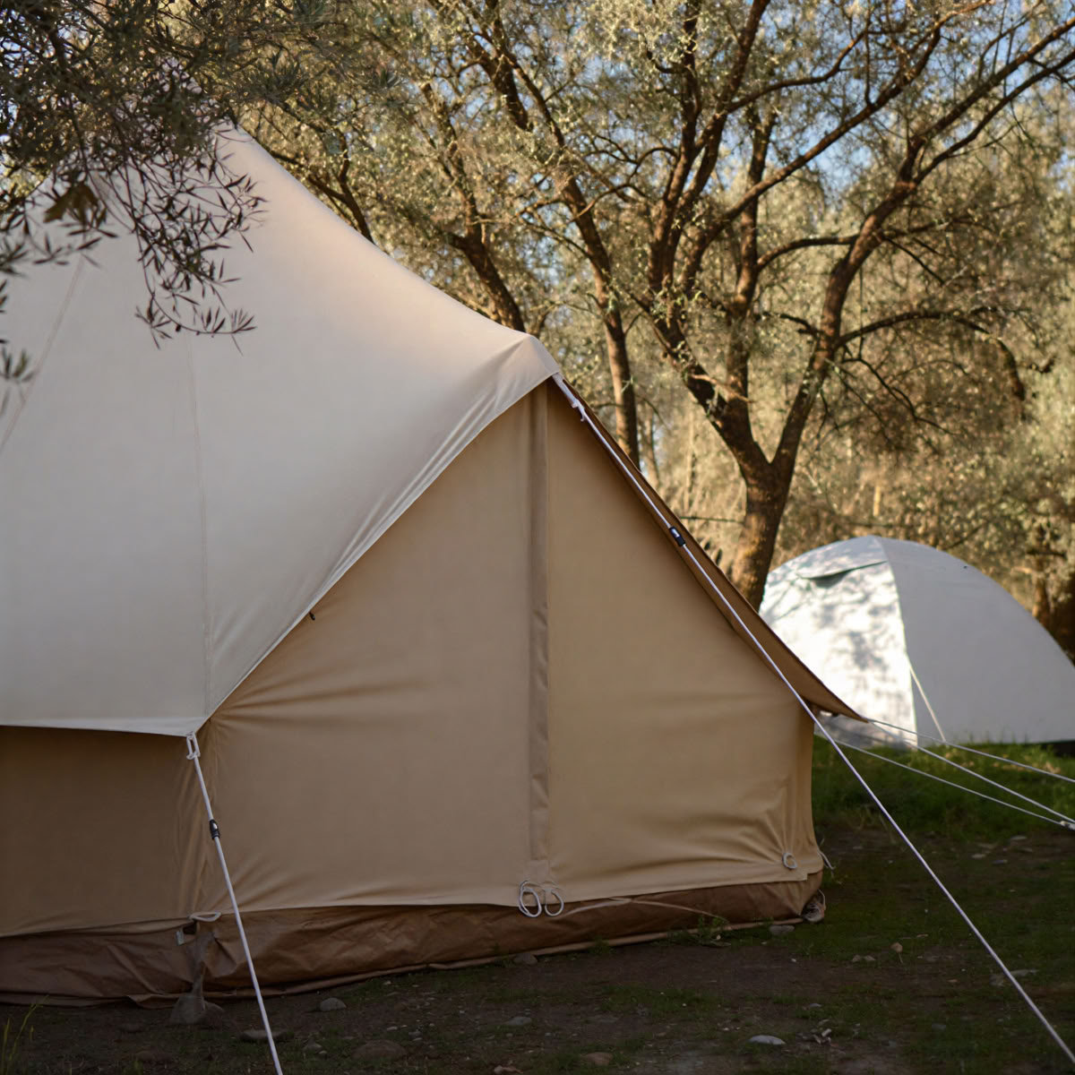 Yoga & Nature Immersion Retiro - Spain