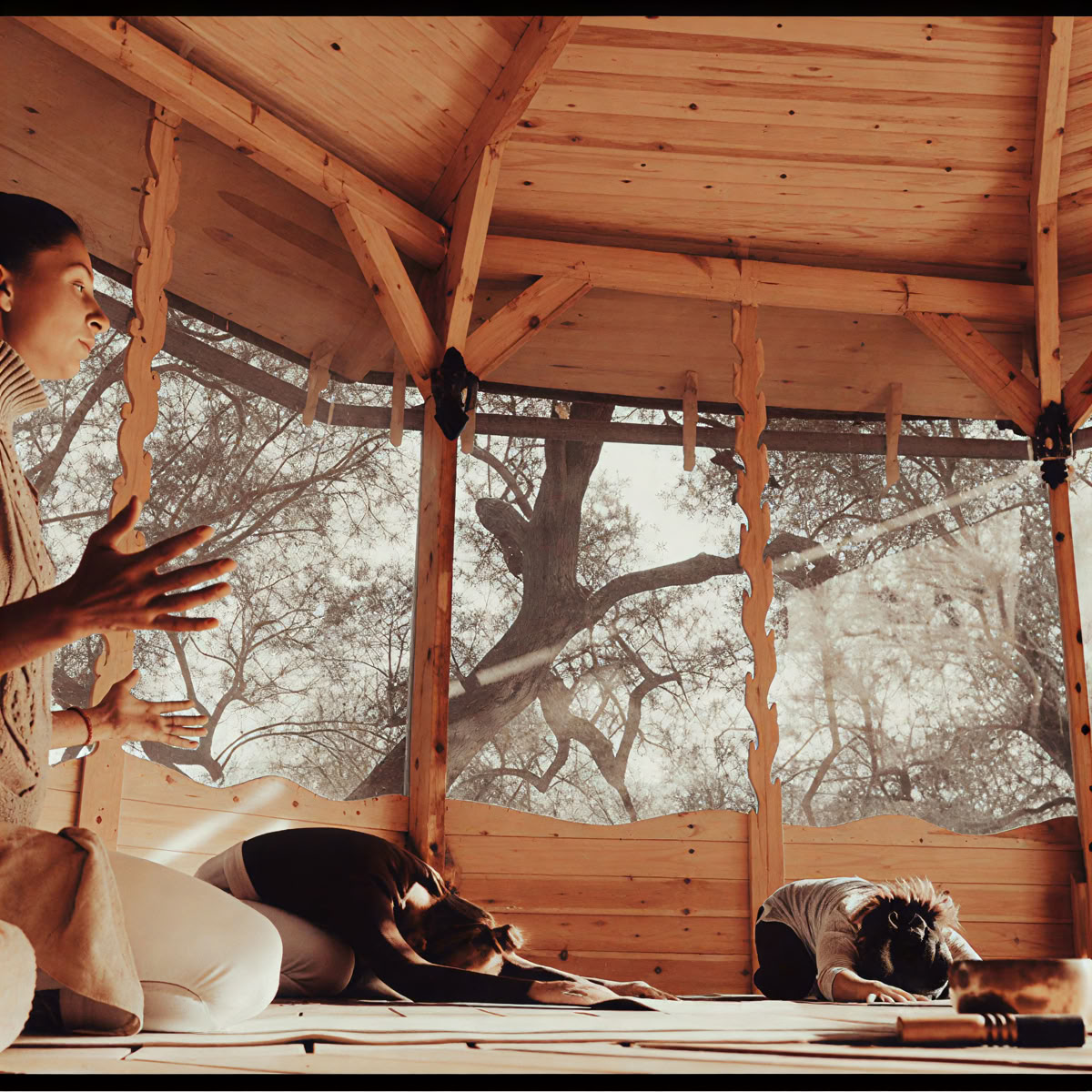 Retiro de breathwork y medicina de plantas