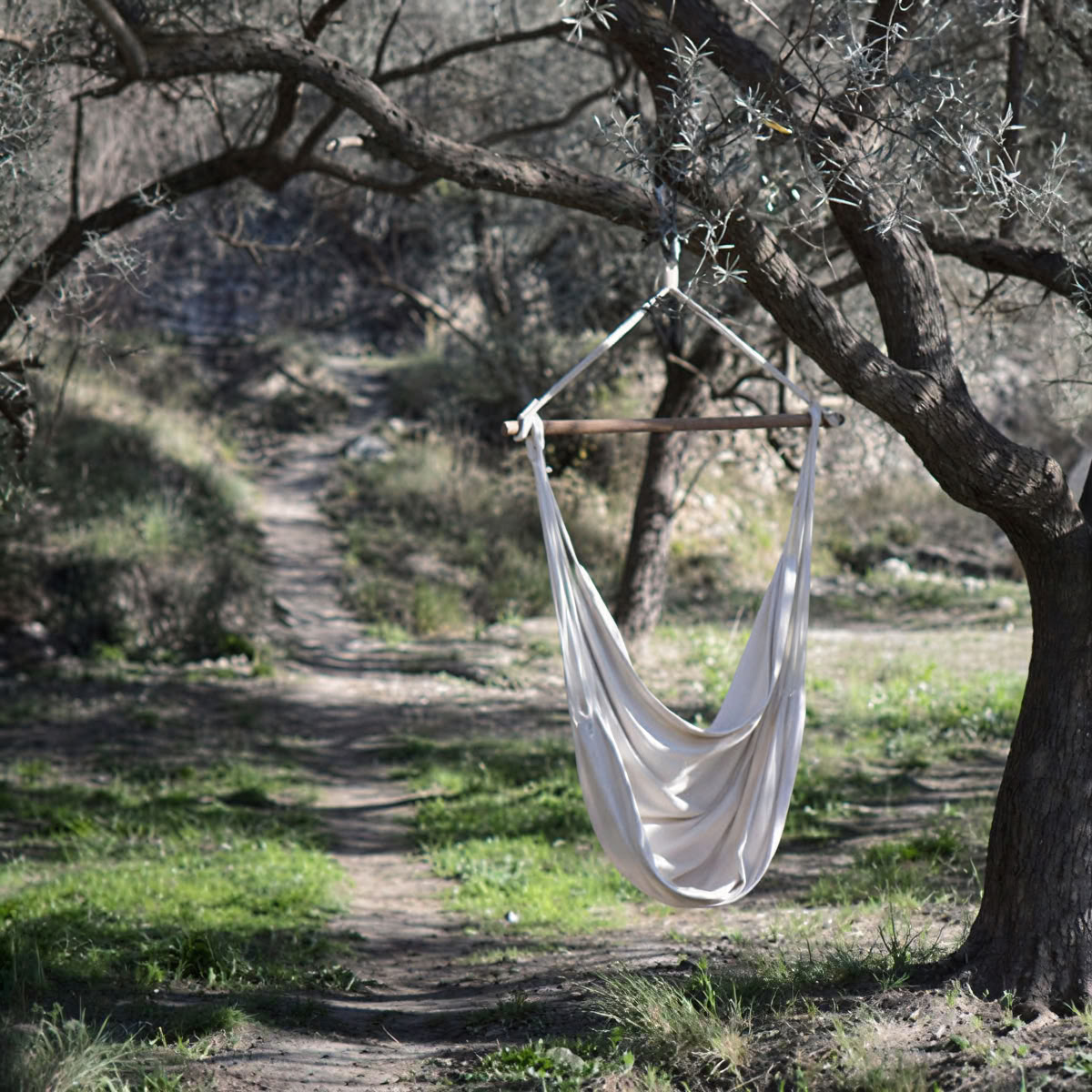 Retiro de medicina de plantas y breathwork en el sur de España