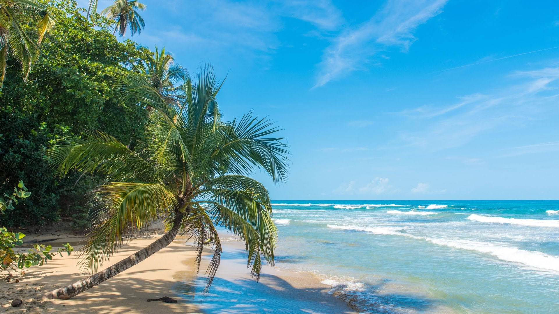 Retiro de Yoga y Movimiento de Año Nuevo con Yoga Journeys