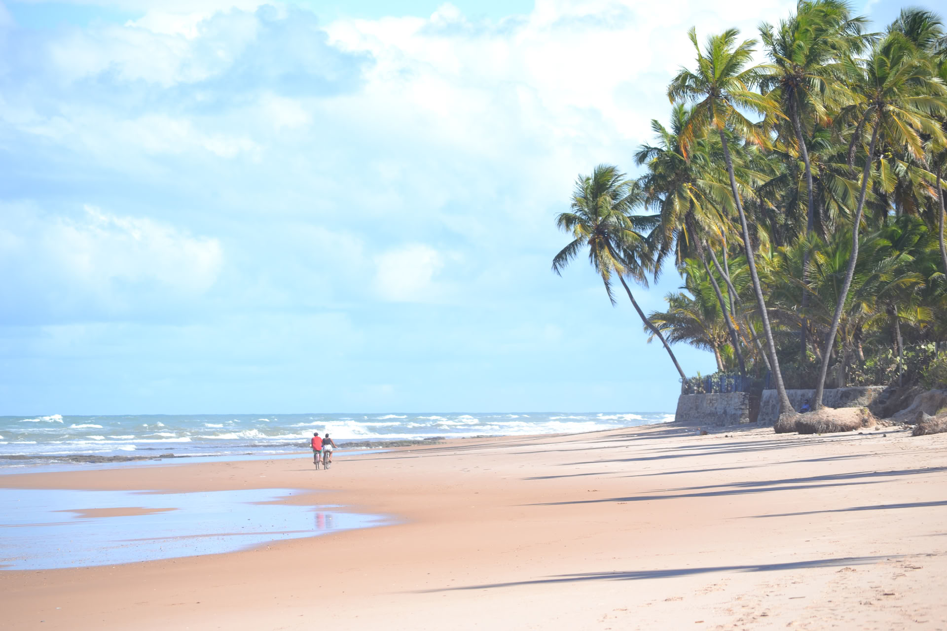 Surf Camp Bahía Brasil