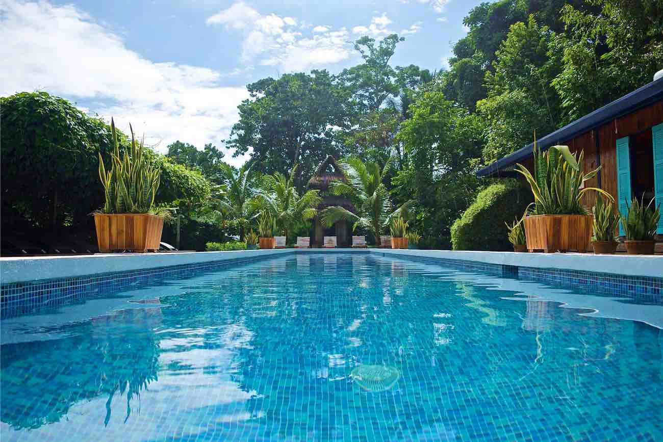 Retiro de Yoga de Año Nuevo: Renueva tu espíritu en Costa Rica
