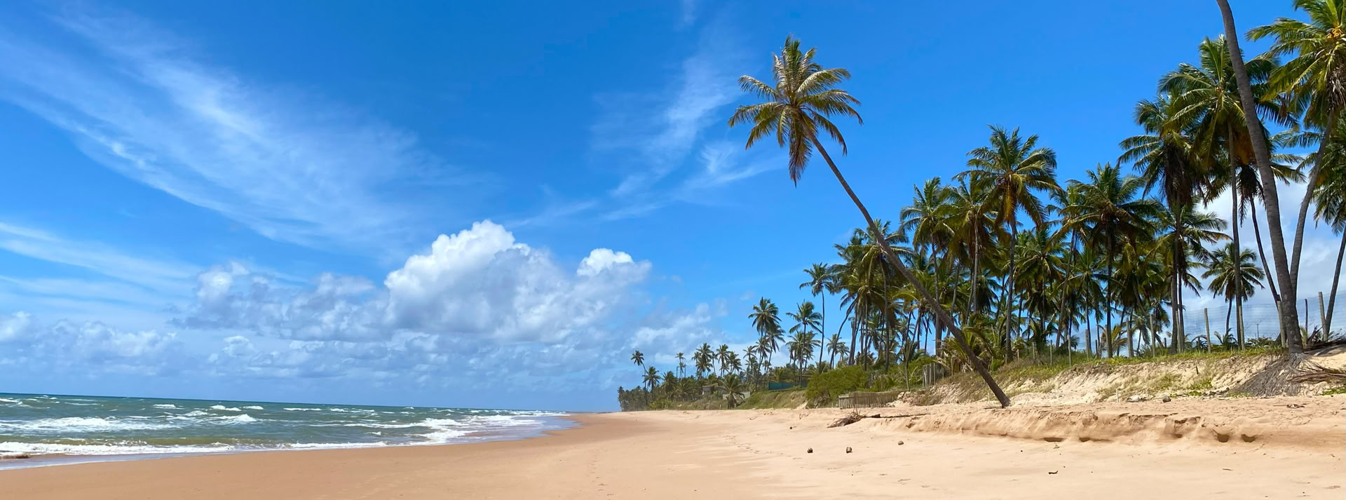 Circuit de la côte nord, Costa de los cocoteros