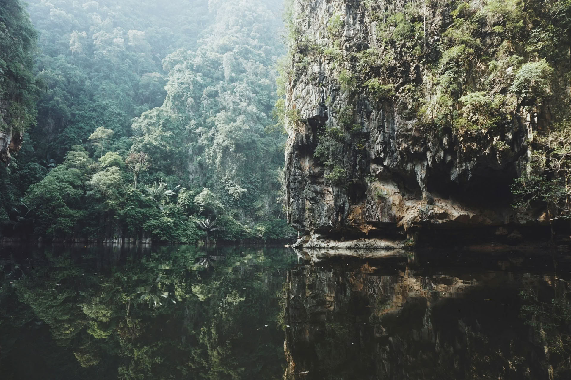 8 Day Retiro de Ayahuasca