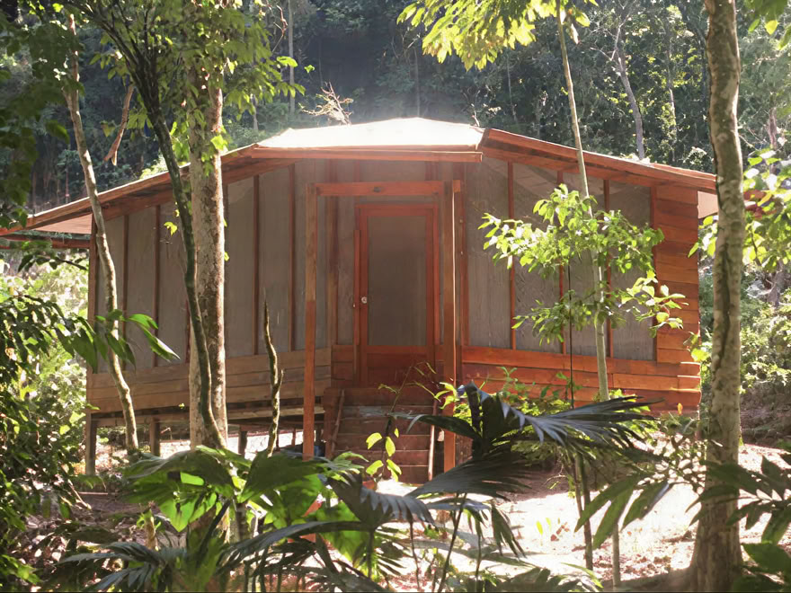 Retiro de Ayahuasca de Fin de Semana