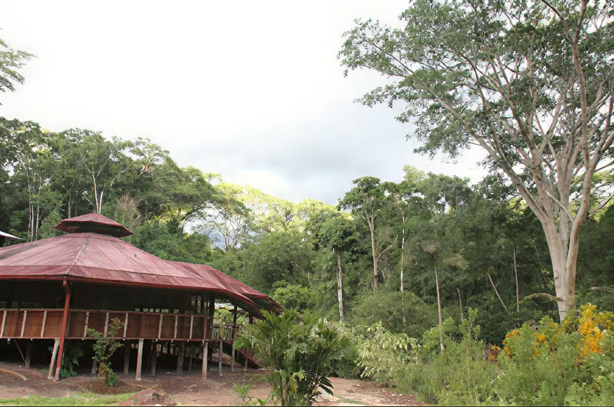 Retiro de Ayahuasca de Fin de Semana