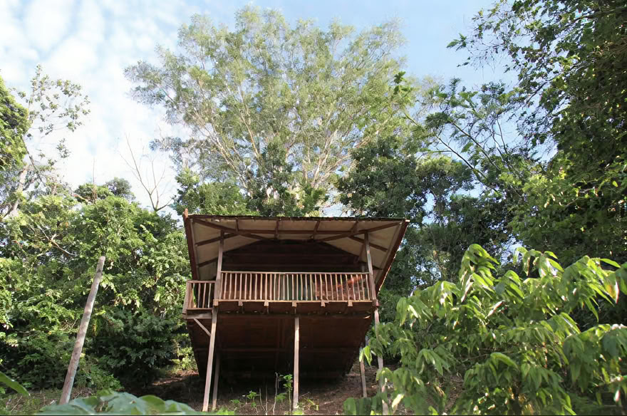 Retiro de Ayahuasca de Fin de Semana