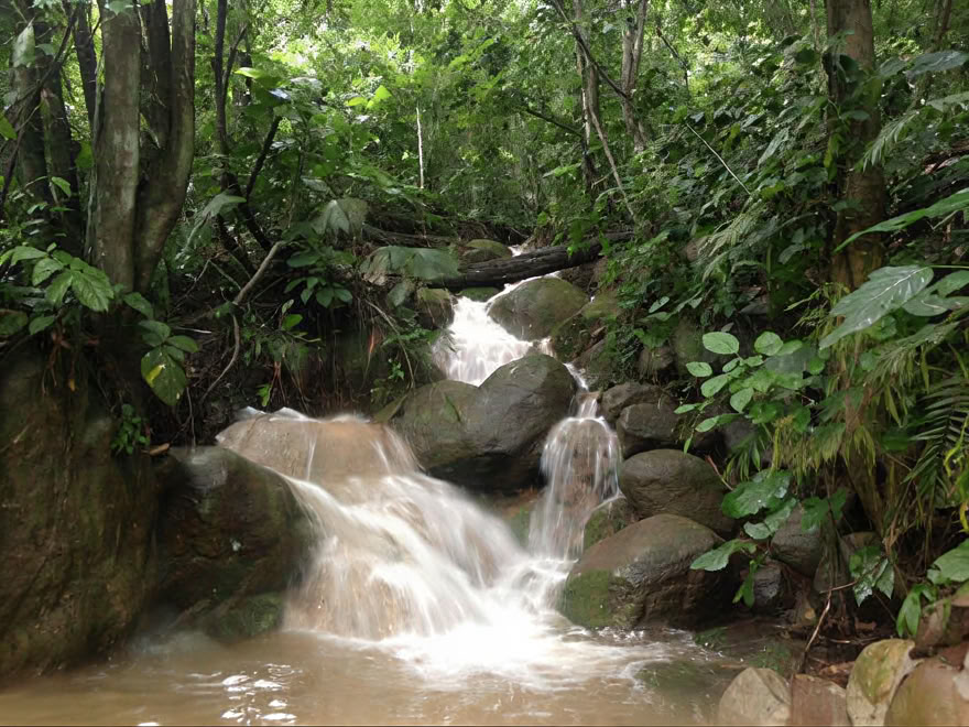 Retiro de Ayahuasca de Fin de Semana