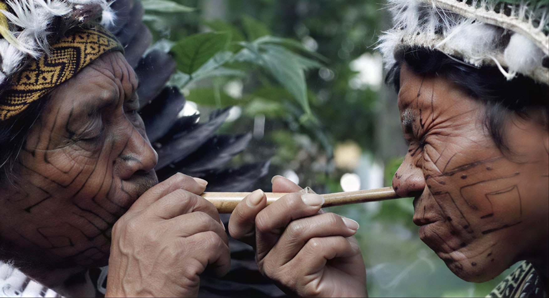 The Sacred Series · 7 Días de Ceremonia