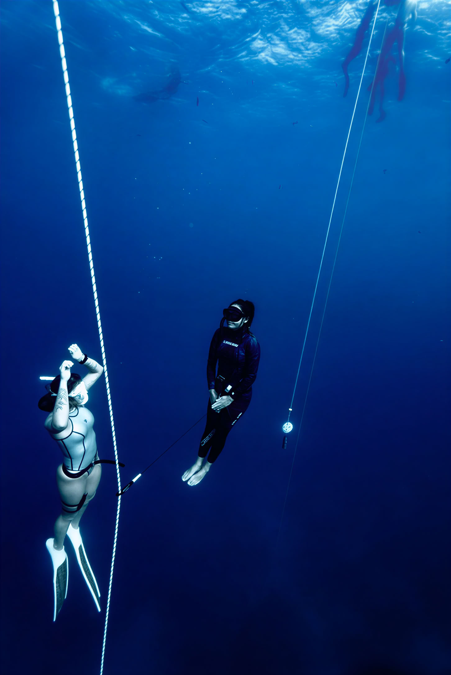 DIVE + REVIVE + THRIVE | BUCEO LIBRE | RESPIRACIÓN | MENTALIDAD