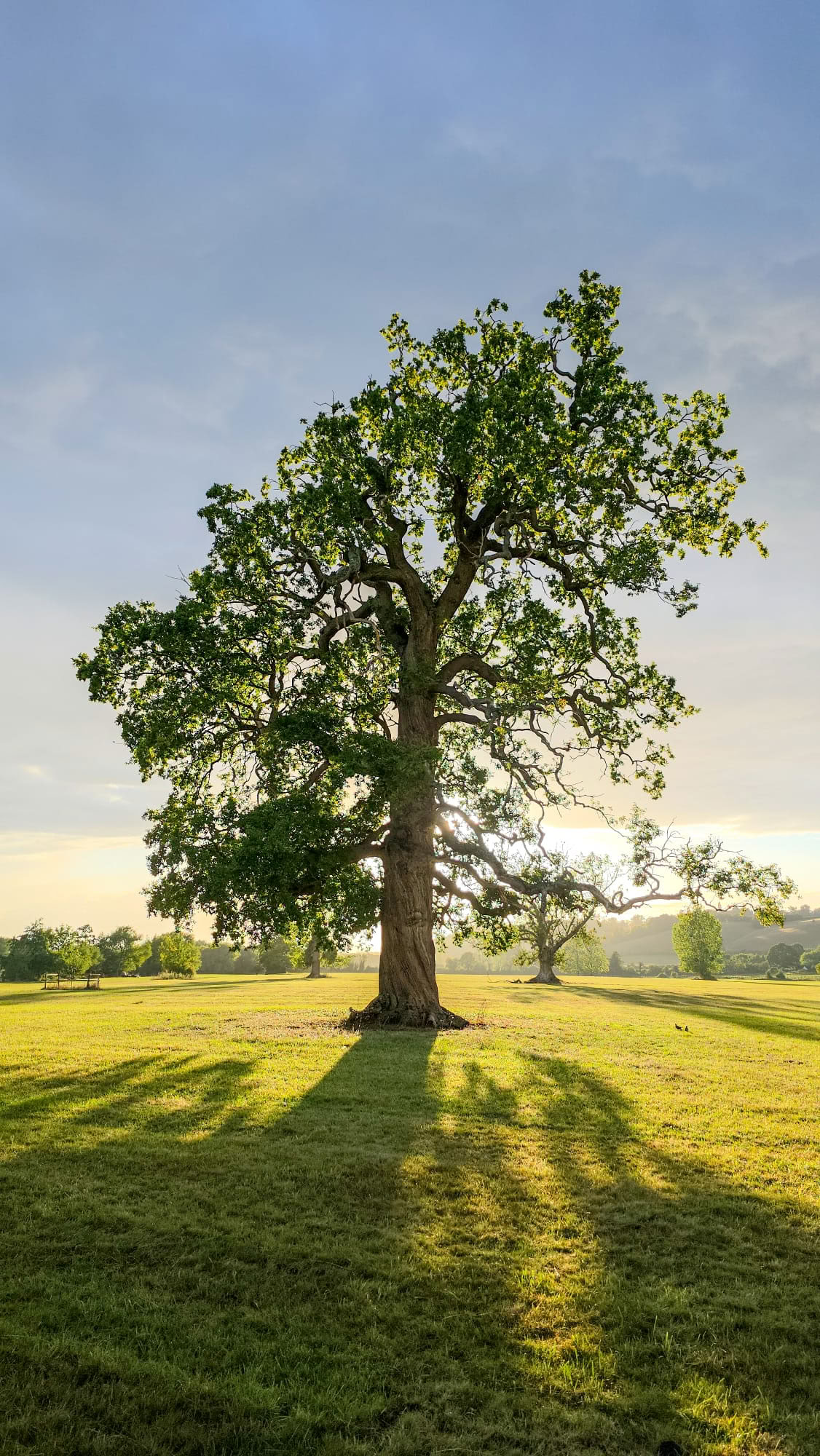 Vipassana Insight Meditation Retiro – 31st Aug – 6th Sept