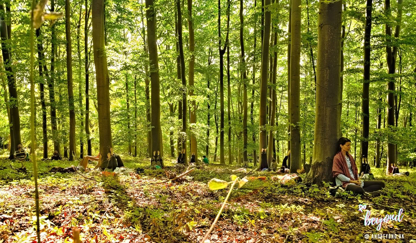 Natural Flow ༄ Retiro de Yoga 2026