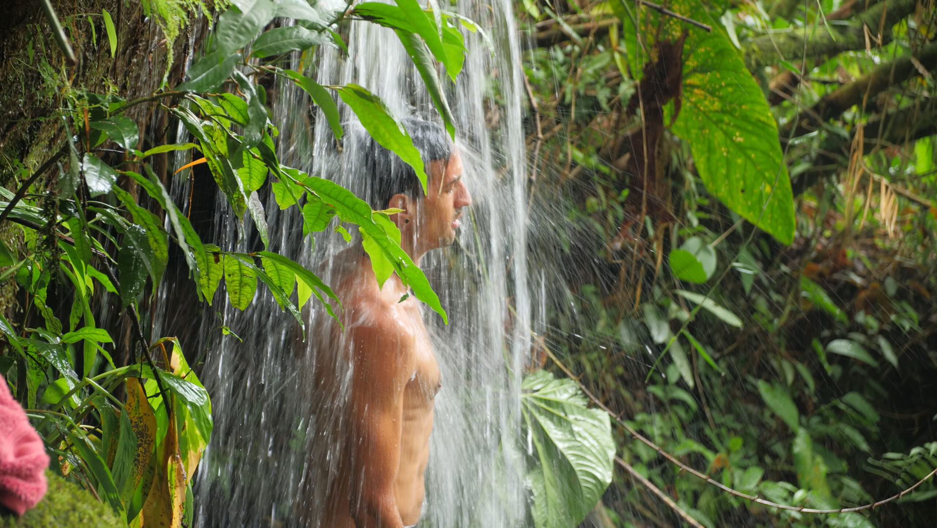 Ayahuasca & Viaje Somático