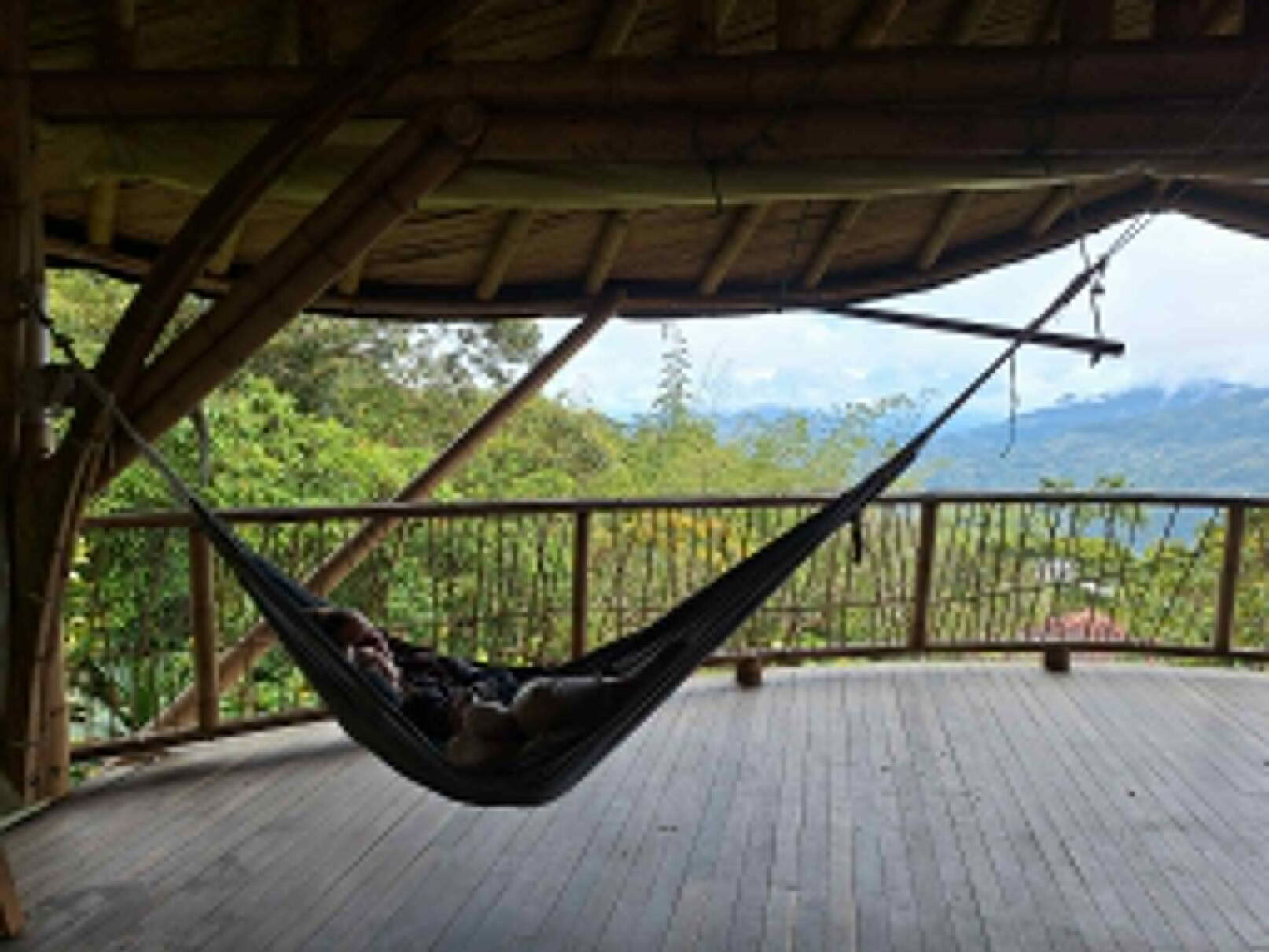 Ayahuasca & Viaje Somático