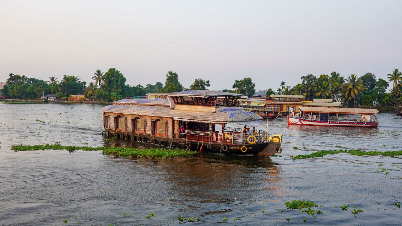 Ultimate Ayurvedic Detox | Un viaje de sanación y renovación en Kerala