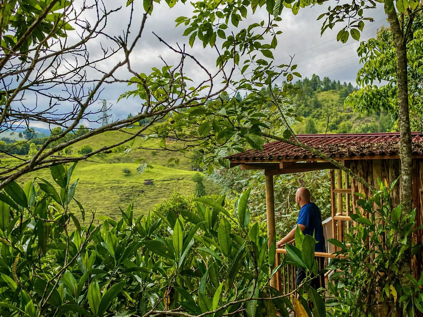 Retiro de Ayahuasca en Medellín, diciembre de 2026