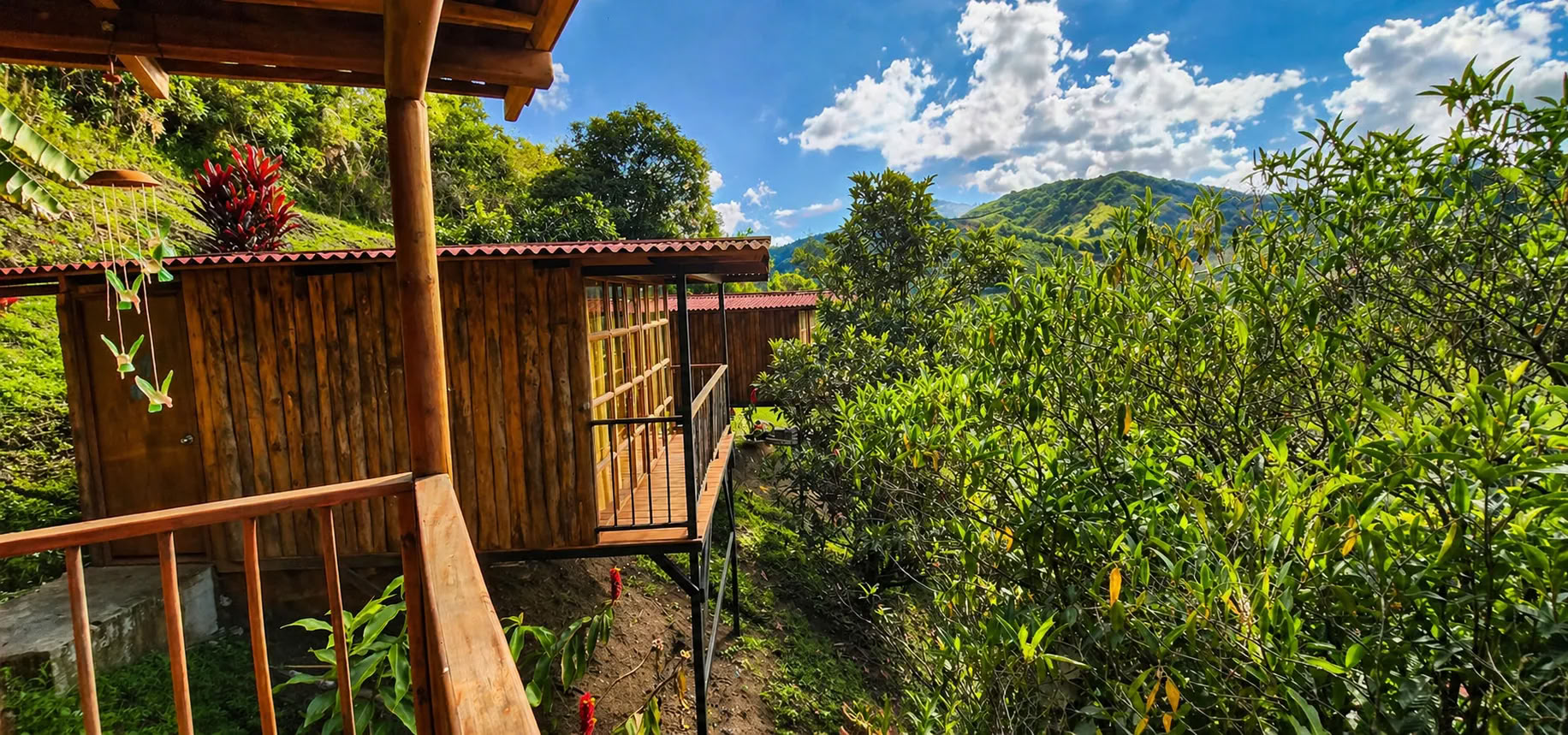 Retiro de Ayahuasca en Medellín, diciembre de 2026
